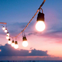 �������x